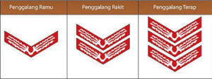tku pramuka penggalang