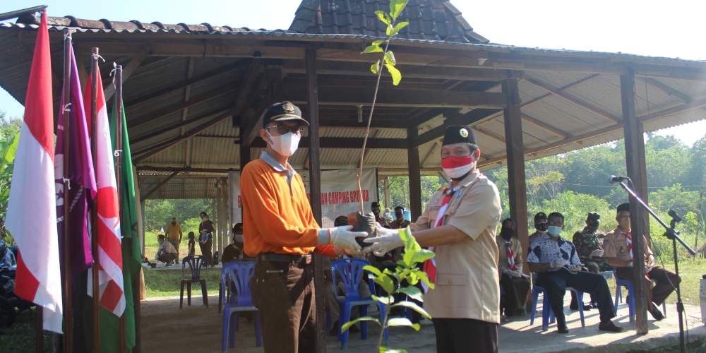 saka kalpataru